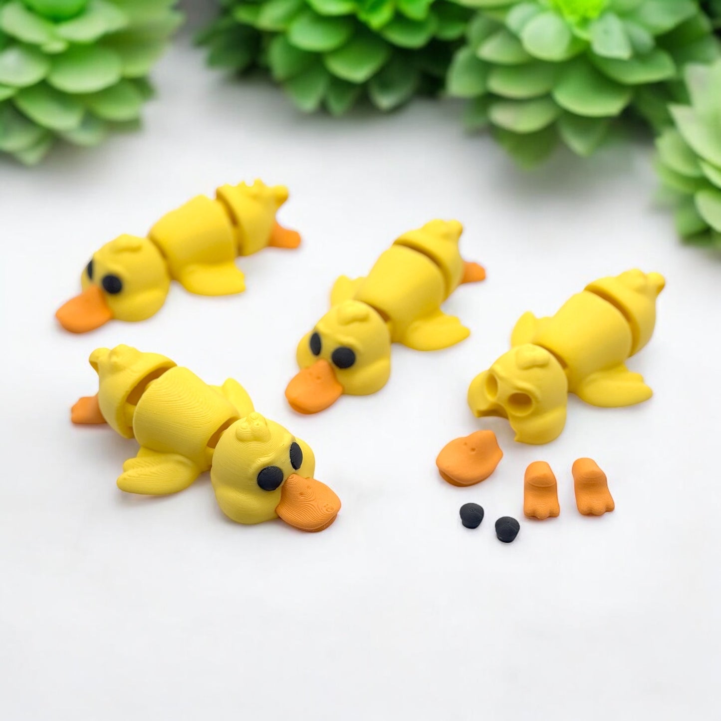 Pato