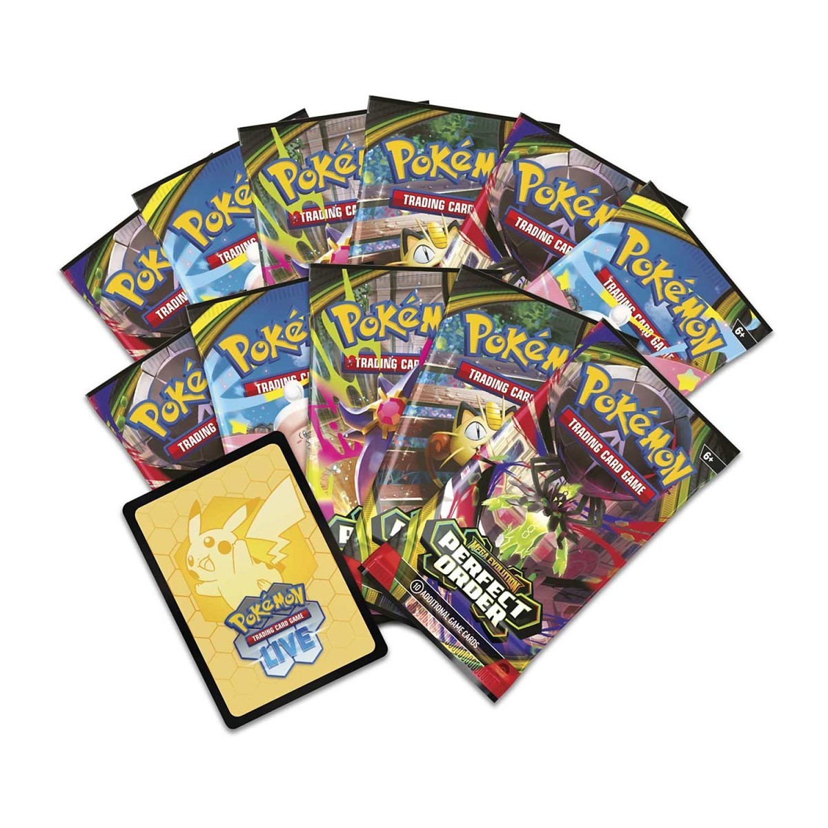 Perfect Order Elite Trainer Box - ENG